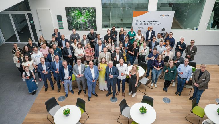 Start-up auf dem Erfolgsweg